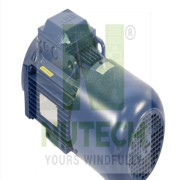 M3ARS MOTOR 100L6 1.5 KW 1000RPM - 115234 - NT/GW115234