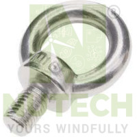 eye-bolt-m36x50 - NT/G1113 - NT/G1113