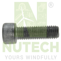 allen-screw-m10x45-din-912-88-elvz - G1123 - NT/G1123