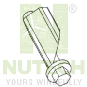 TENSIONING DEVICE D2888 X 10 AISI 304 - A9B10324661 - NT/SW60349