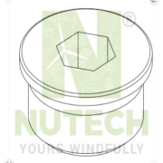 GP219525 GREASE INJECTION AND EXTRACTION PLUG - GP219525 - NT/GW219525